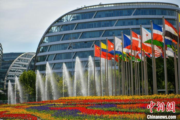 第五屆進(jìn)博會(huì)場(chǎng)館景觀裝飾全面定妝?！￡悏?mèng)澤 攝