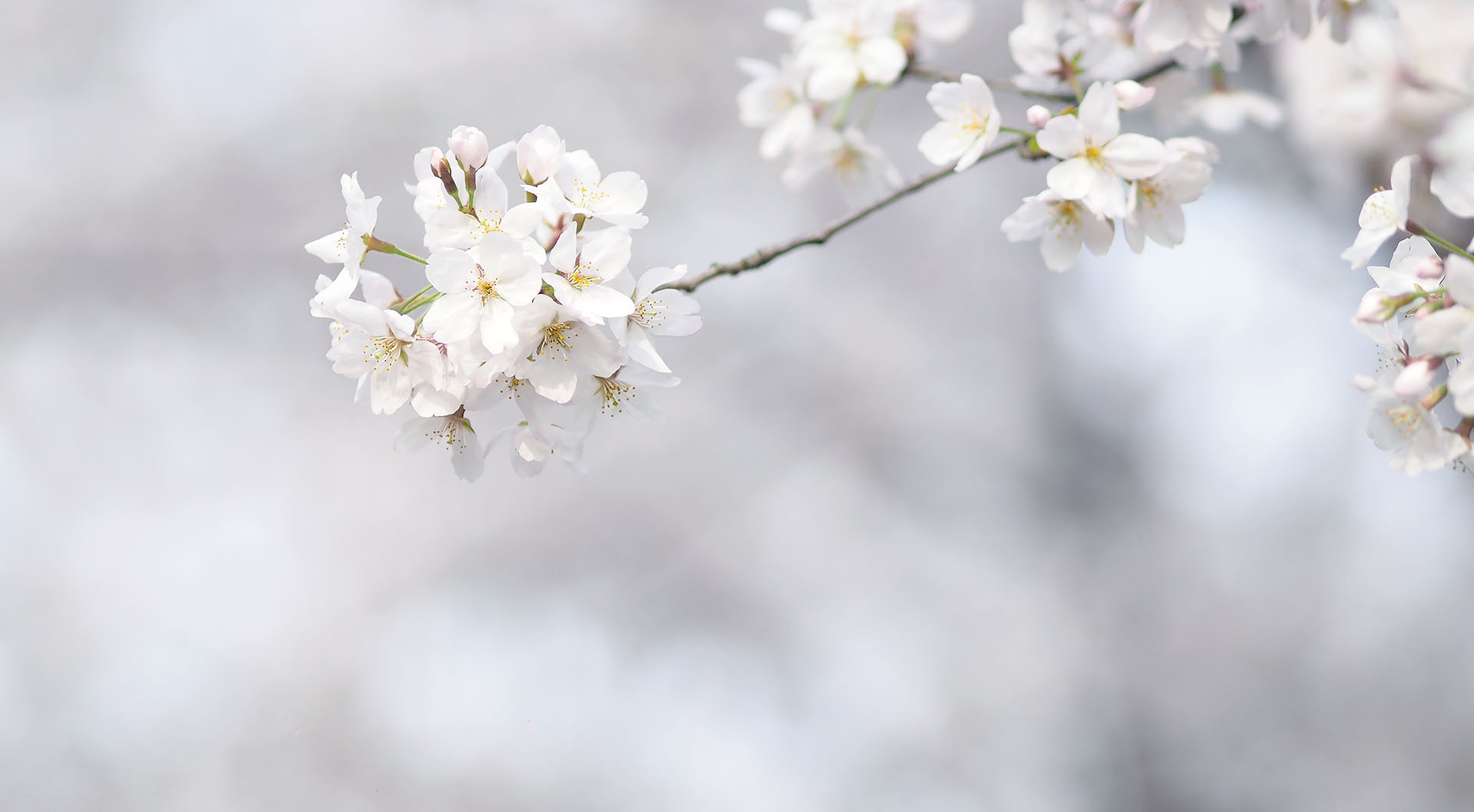 劉潭服裝清明放假通知