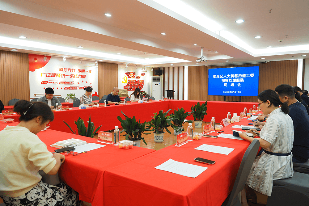 區(qū)人大代表到劉潭服裝開展工作視察