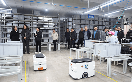 政協(xié)領導蒞臨劉潭服裝，共探智能制造新征程