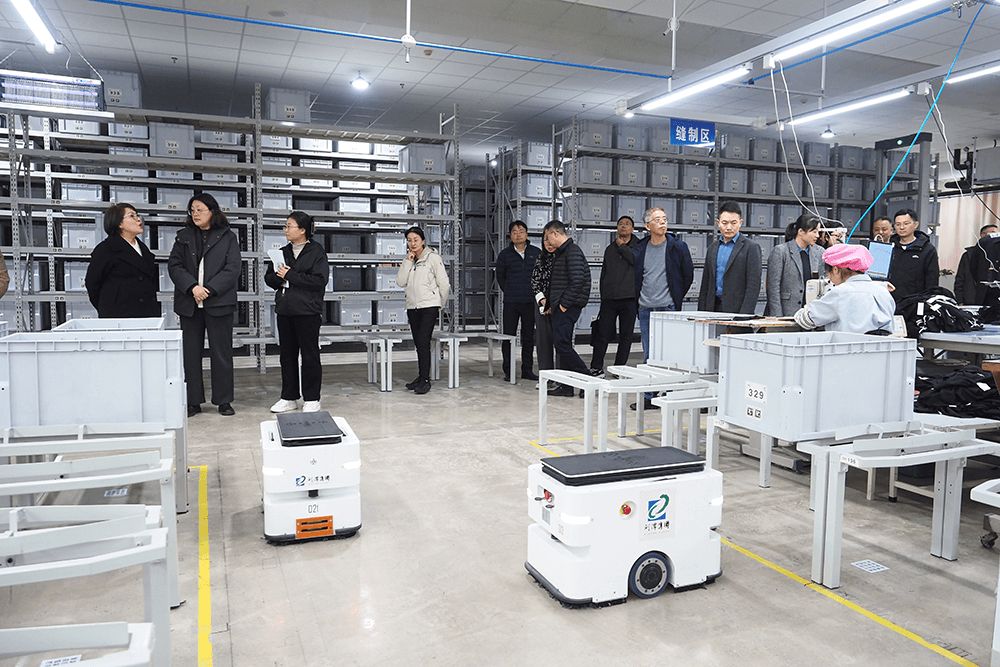 政協(xié)領(lǐng)導(dǎo)蒞臨劉潭服裝，共探智能制造新征程