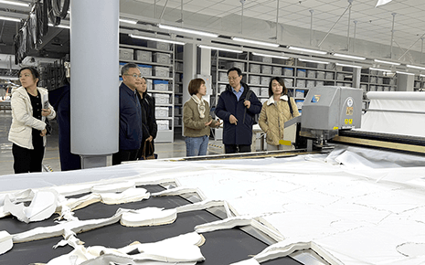 港地合作促發(fā)展：劉潭服裝智能化實(shí)踐獲關(guān)注