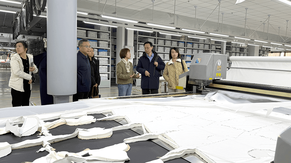 港地合作促發(fā)展：劉潭服裝智能化實踐獲關(guān)注